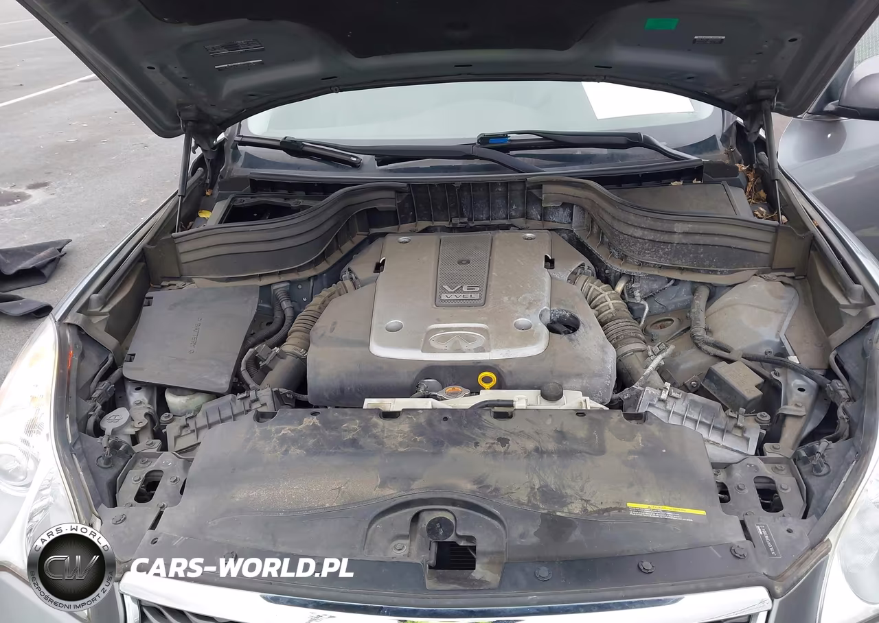 2017 Infiniti Qx50 VIN:JN1BJ0RP3HM386412 - 10