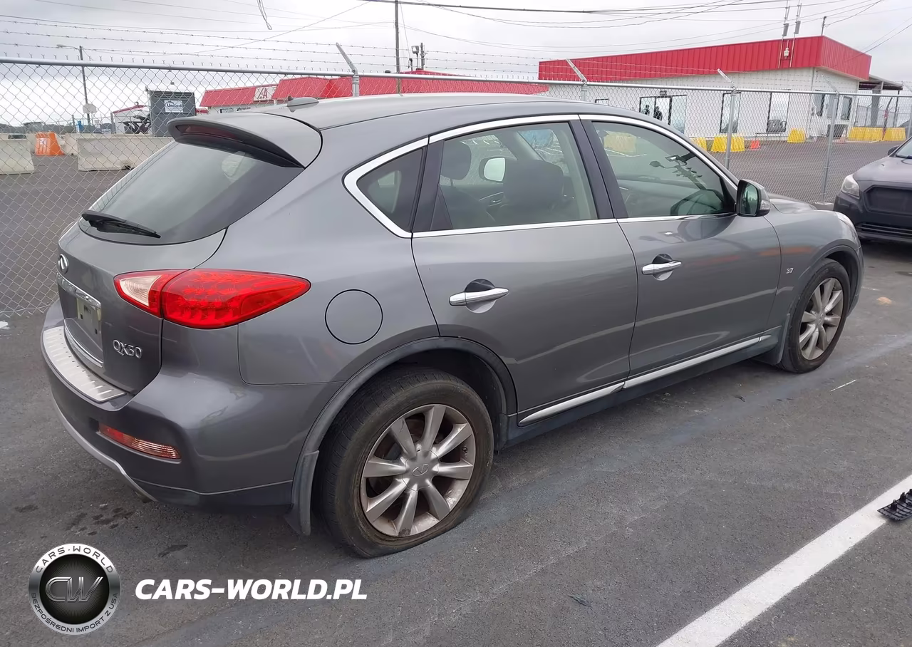 2017 Infiniti Qx50 VIN:JN1BJ0RP3HM386412 - 4