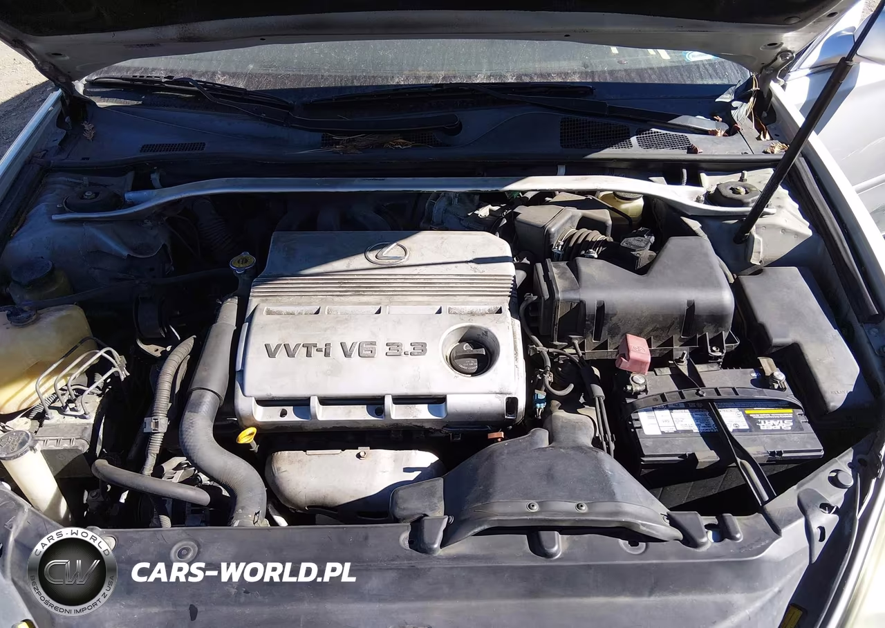 2004 Lexus Es 330 VIN:JTHBA30G645012777 - 10