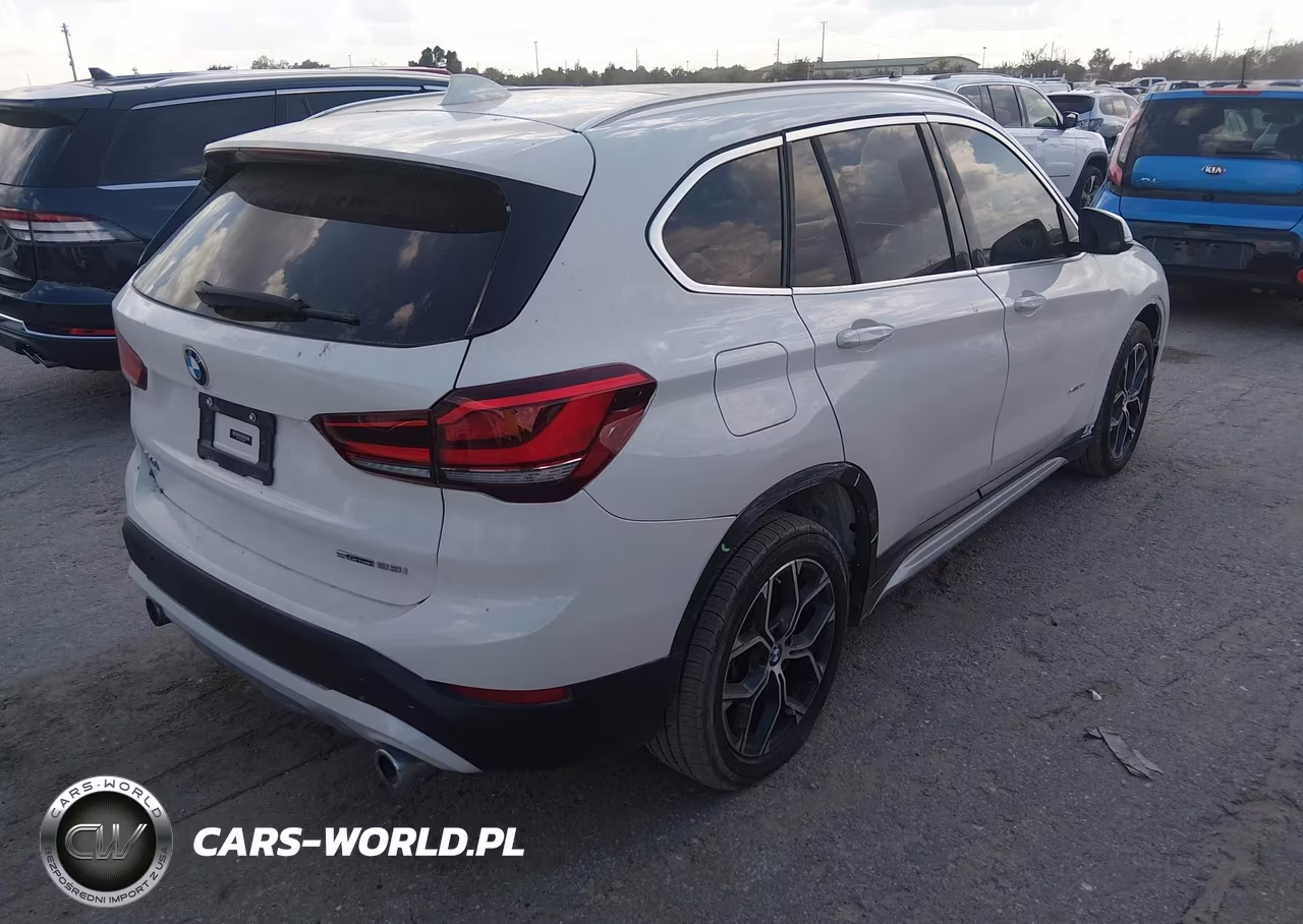2020 BMW X1 Sdrive28I VIN:WBXJG7C08L5P46873 - 4