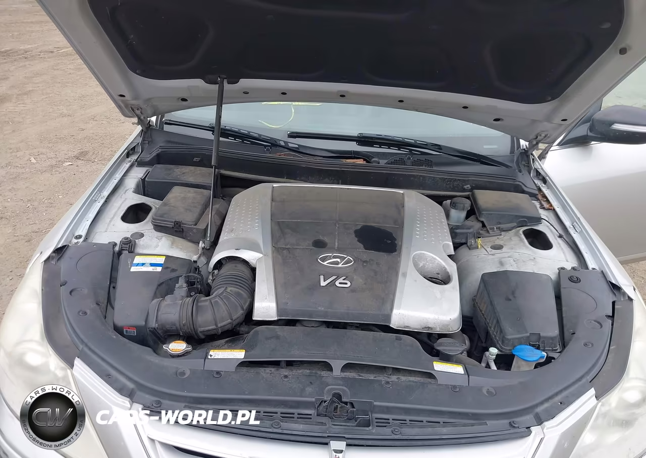2011 Hyundai Genesis 3.8 VIN:KMHGC4DEXBU131706 - 10