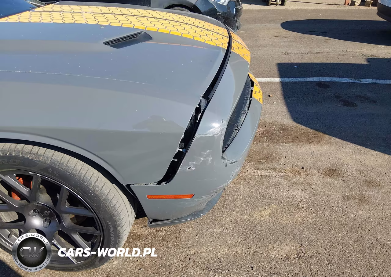 2018 Dodge Challenger Sxt VIN:2C3CDZAG7JH219217 - 16