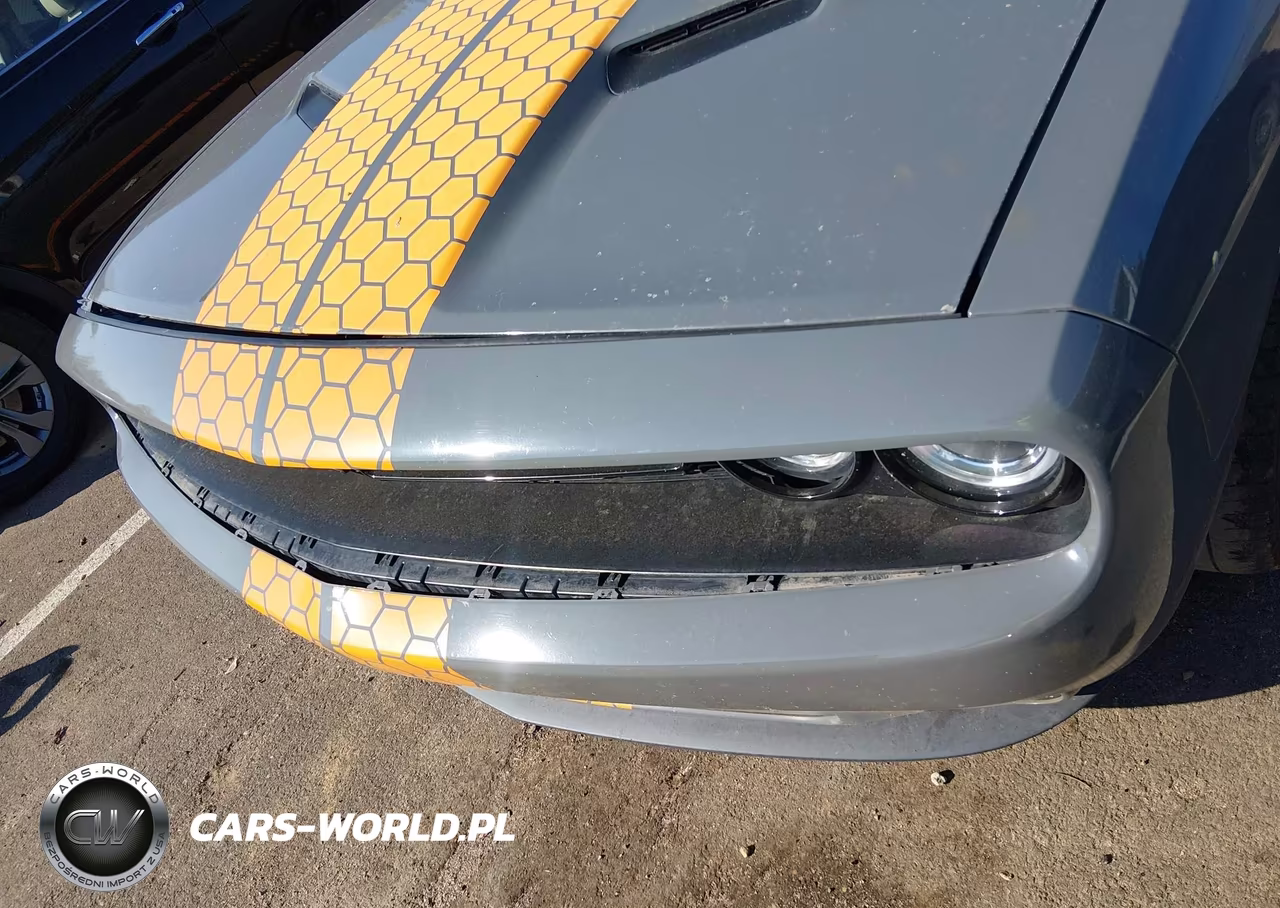 2018 Dodge Challenger Sxt VIN:2C3CDZAG7JH219217 - 17