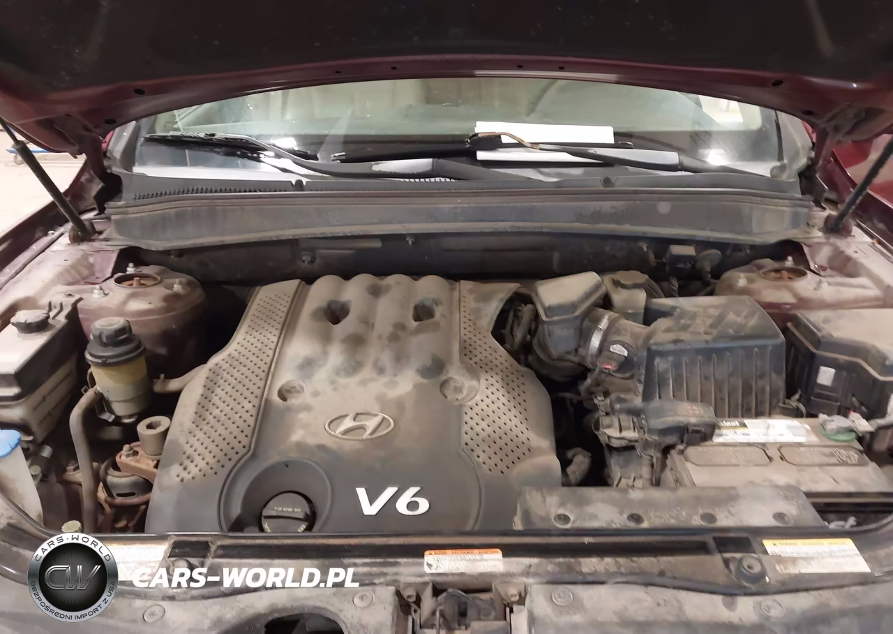 2007 Hyundai Santa Fe Gls VIN:5NMSG13D07H113210 - 10