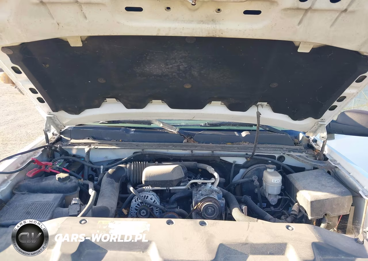 2011 Chevrolet Silverado 1500 Work Truck VIN:1GCNCPEXXBZ432623 - 10