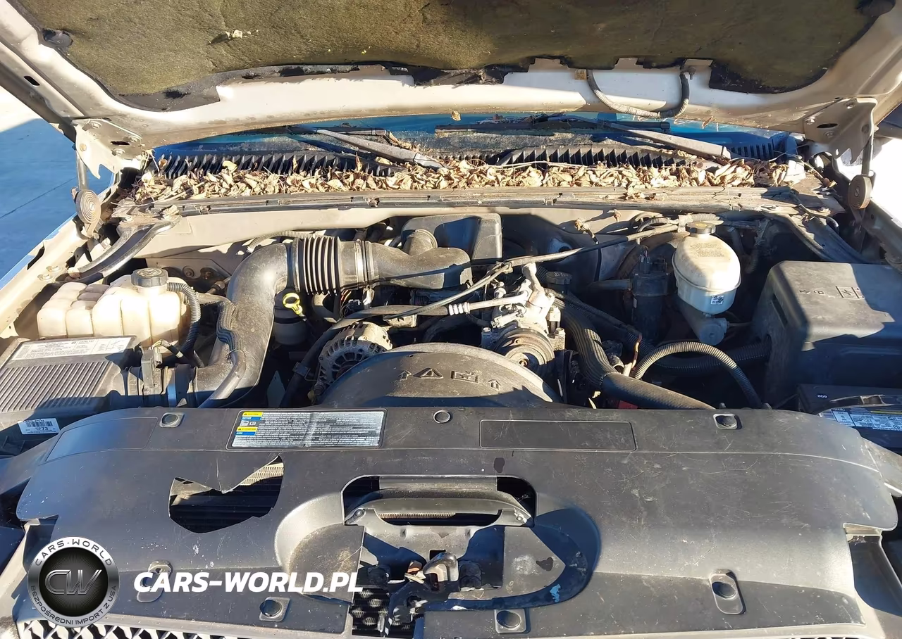 2004 Chevrolet Silverado 1500 Work Truck VIN:1GCEC19X24Z282498 - 10
