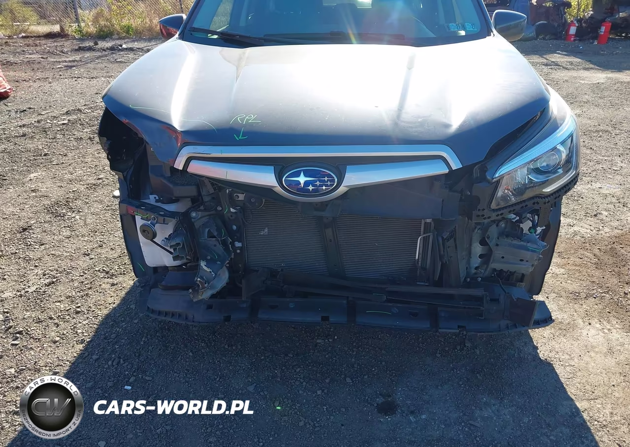 2019 Subaru Forester Premium VIN:JF2SKAGC3KH453057 - 6