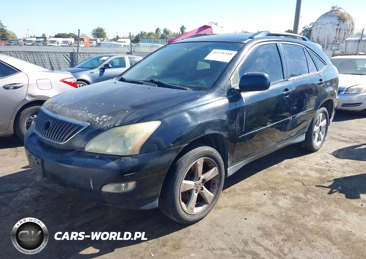 2004 Lexus Rx 330 VIN:JTJGA31U840015959 - 2