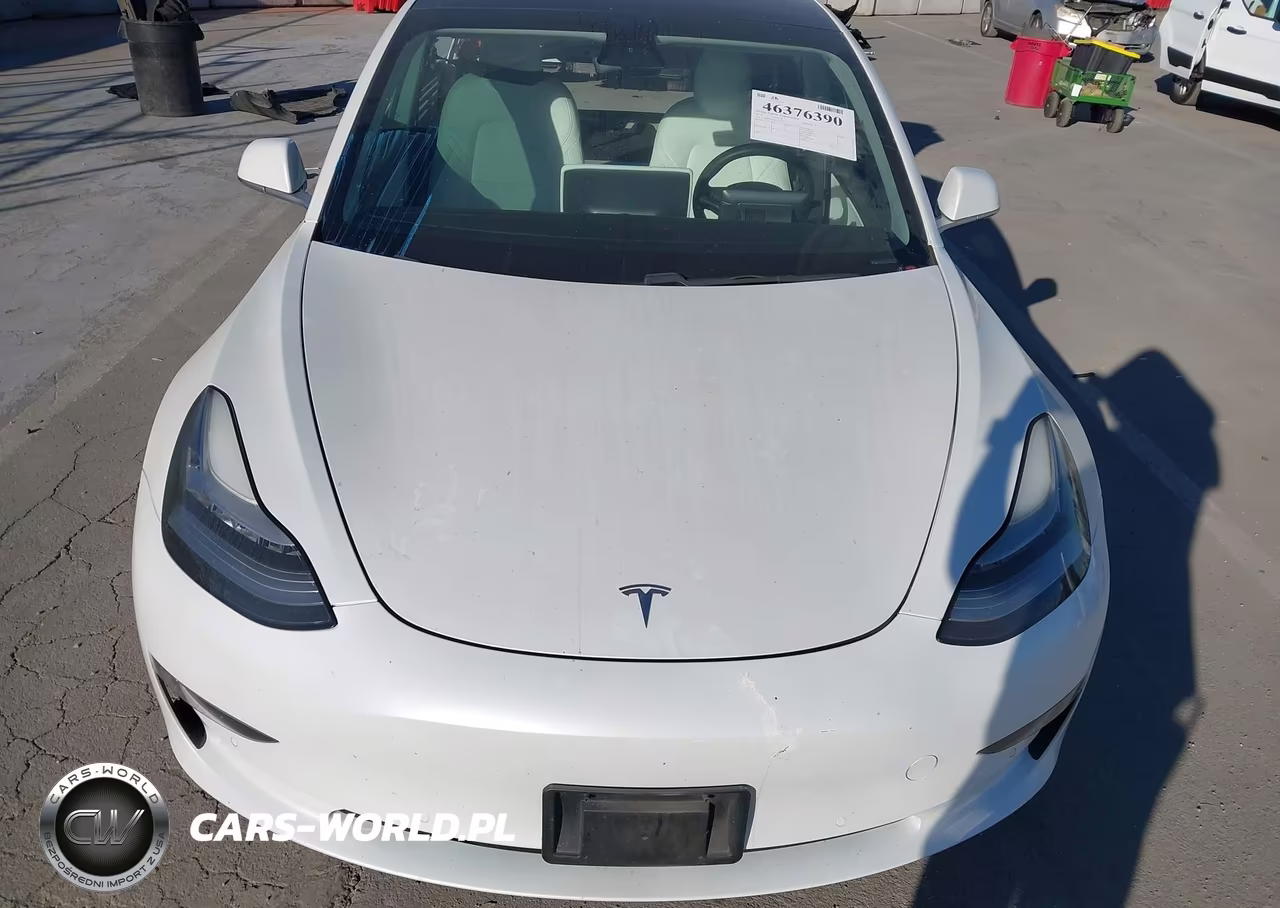 2019 Tesla Model 3 Long Range-Performance VIN:5YJ3E1EB3KF514377 - 10