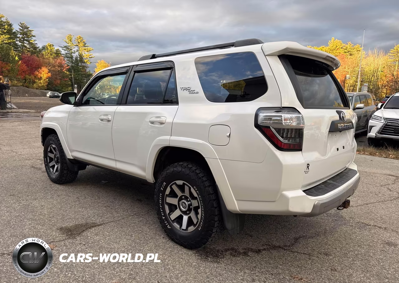 2019 Toyota 4Runner Trd Off Road Premium VIN:JTEBU5JR1K5632241 - 3