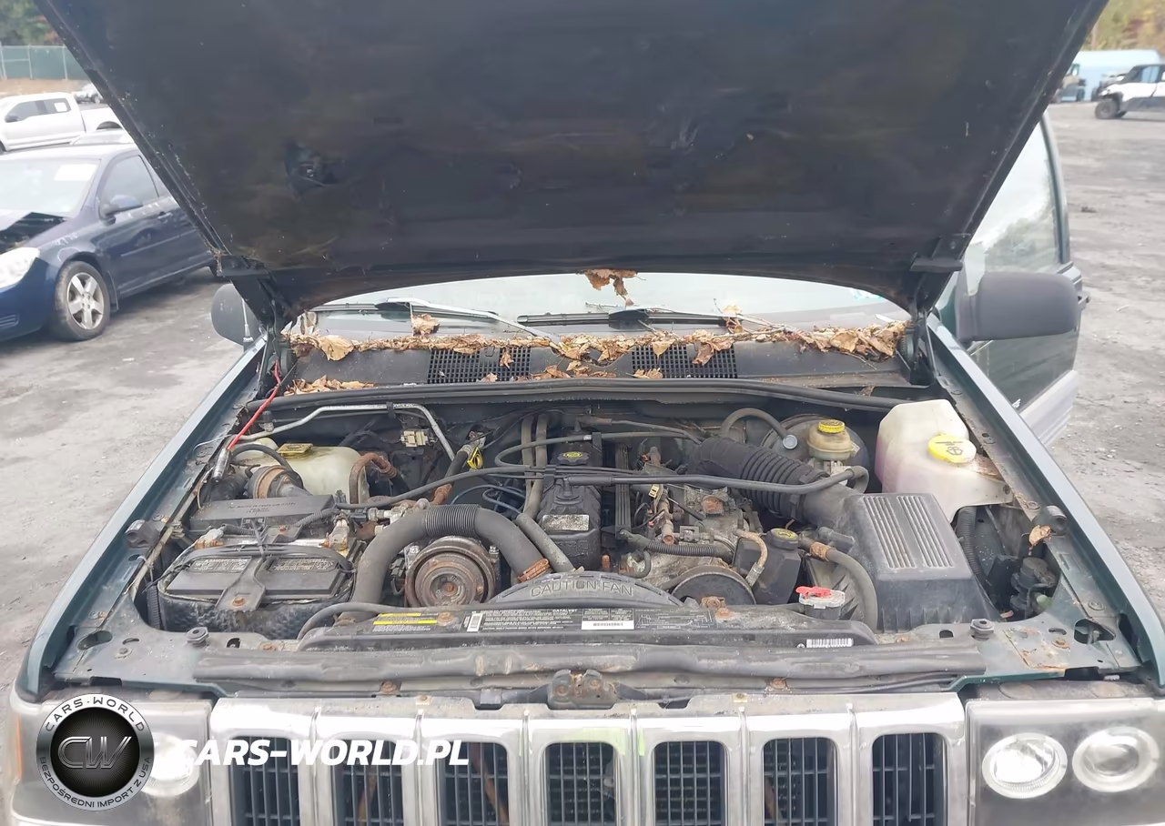 1998 Jeep Grand Cherokee Laredo VIN:1J4GZ58S0WC314921 - 10