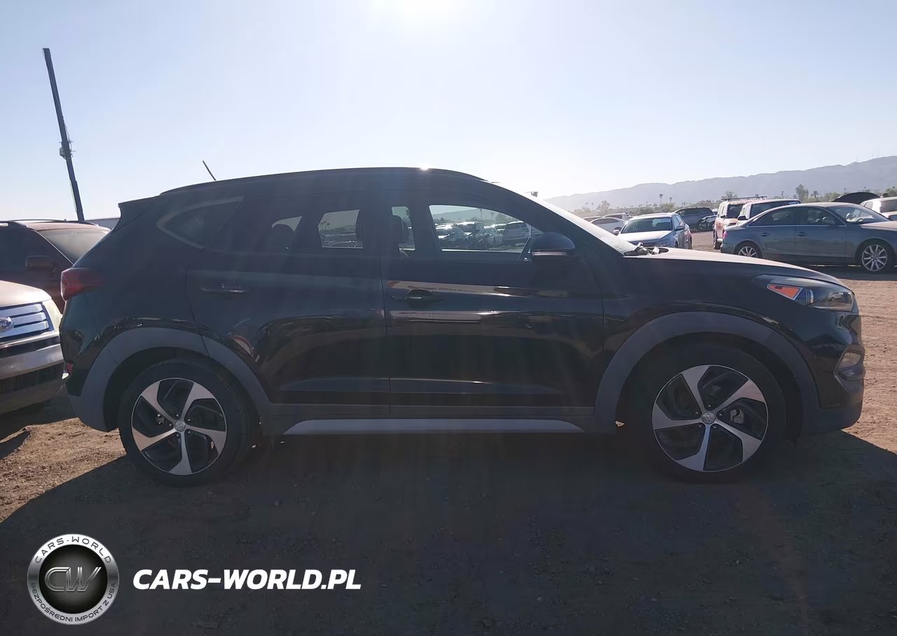 2017 Hyundai Tucson Value VIN:KM8J33A22HU570546 - 13