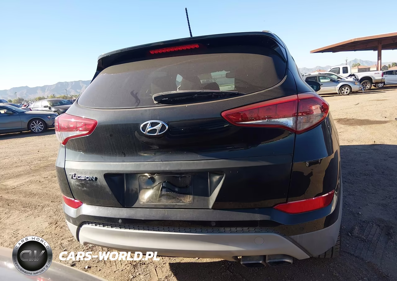 2017 Hyundai Tucson Value VIN:KM8J33A22HU570546 - 16