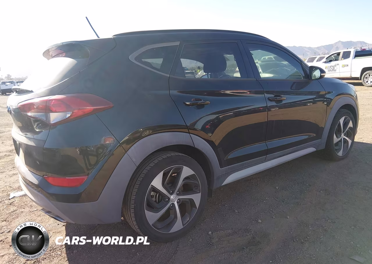 2017 Hyundai Tucson Value VIN:KM8J33A22HU570546 - 4