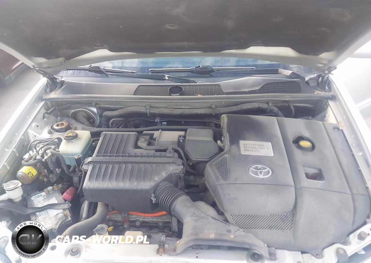 2007 Toyota Highlander Hybrid Limited V6 VIN:JTEEW21A370049173 - 10