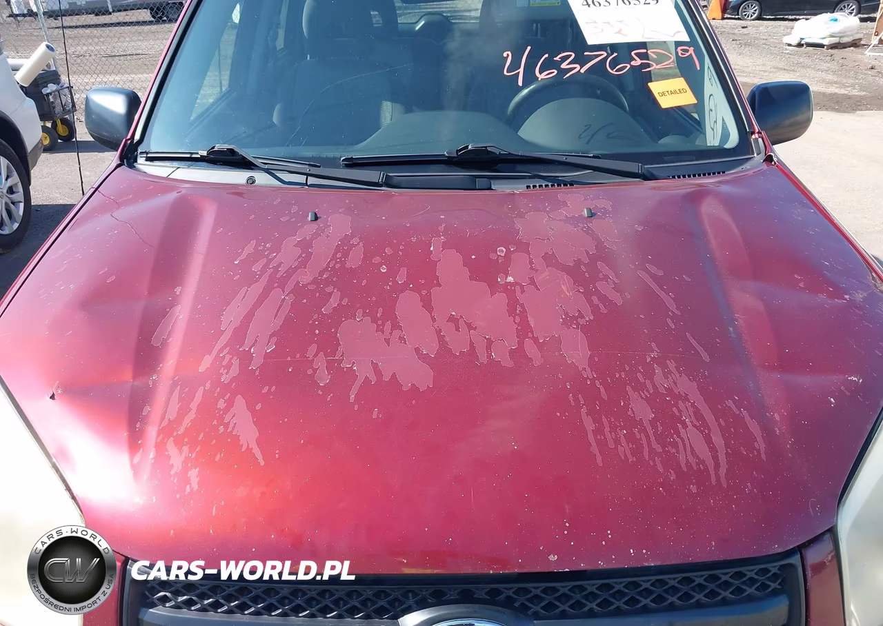 2004 Toyota Rav4 VIN:JTEGD20VX40041960 - 10