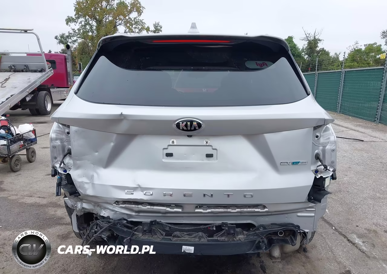 2021 Kia Sorento Hybrid Ex VIN:KNDRH4LG5M5035478 - 17