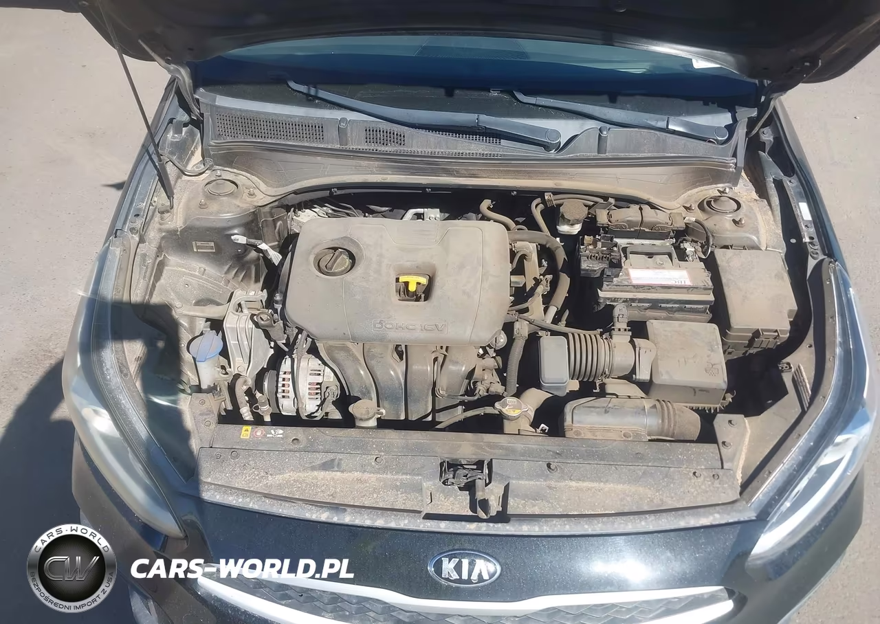 2019 Kia Forte Fe VIN:3KPF24AD3KE006091 - 10