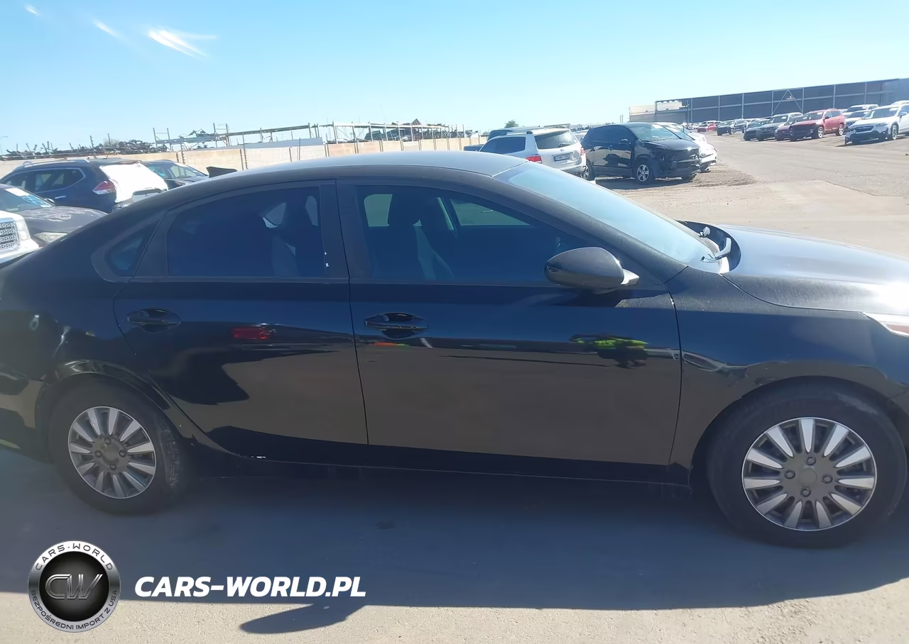2019 Kia Forte Fe VIN:3KPF24AD3KE006091 - 13
