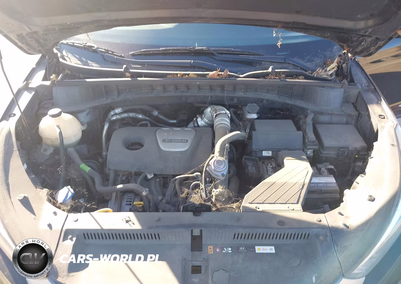 2018 Hyundai Tucson Value VIN:KM8J3CA20JU705111 - 10