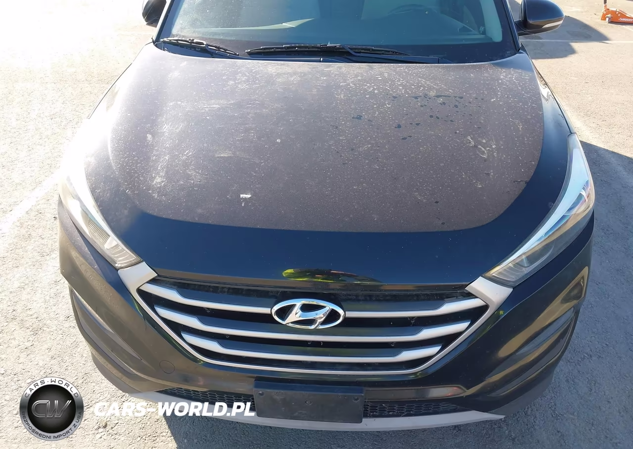 2018 Hyundai Tucson Value VIN:KM8J3CA20JU705111 - 6