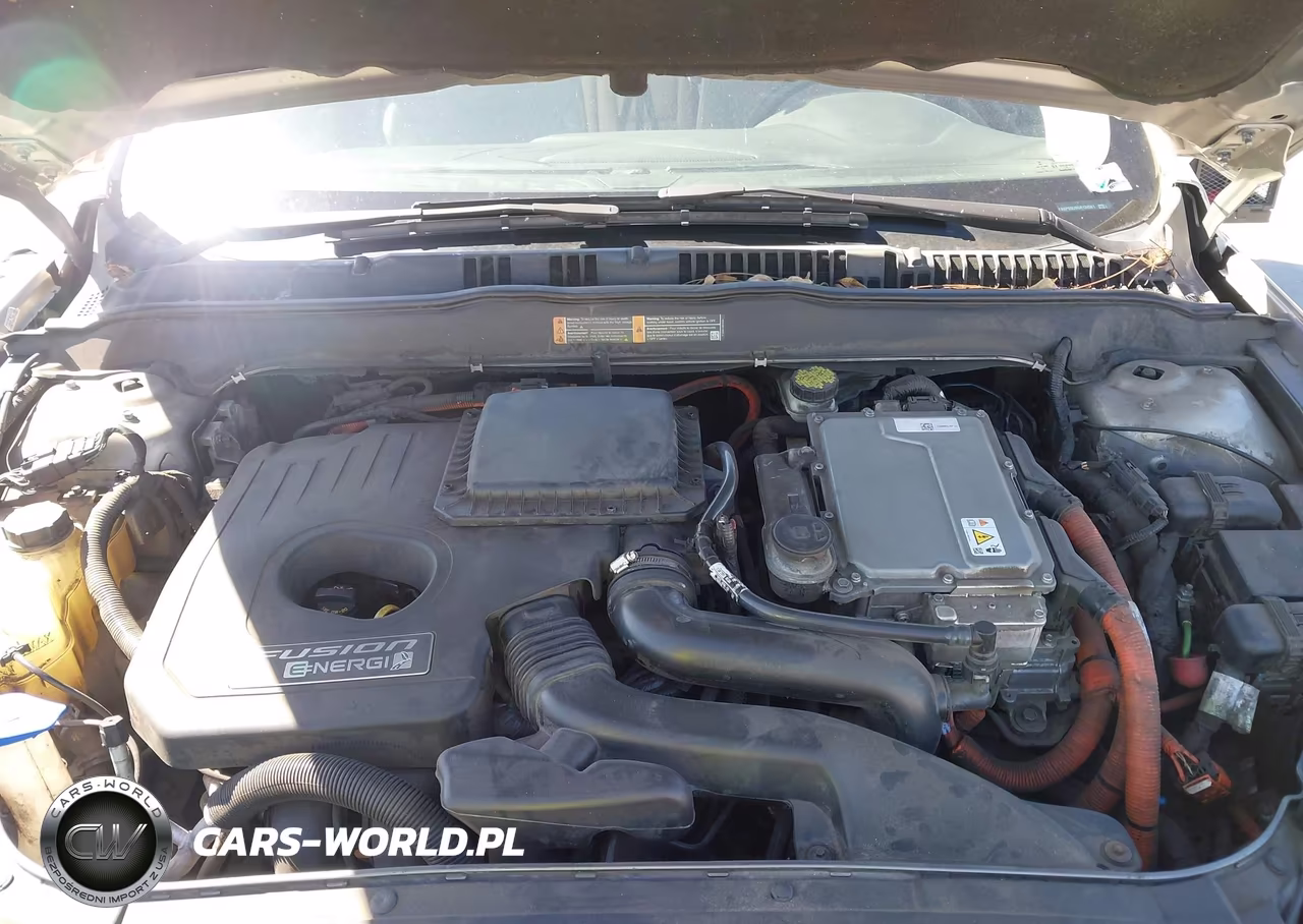 2016 Ford Fusion Energi Titanium VIN:3FA6P0SU9GR134561 - 10