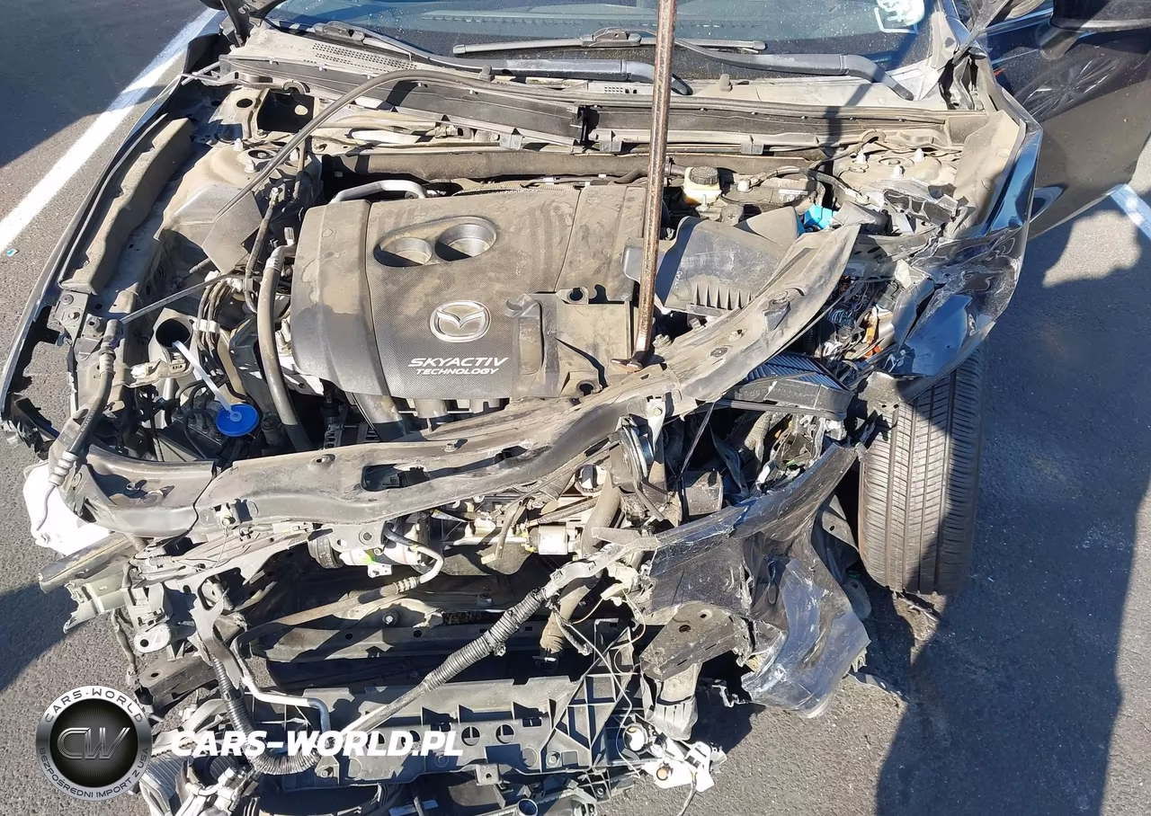 2016 Mazda Mazda 3 I Sport VIN:3MZBM1U75GM326620 - 10