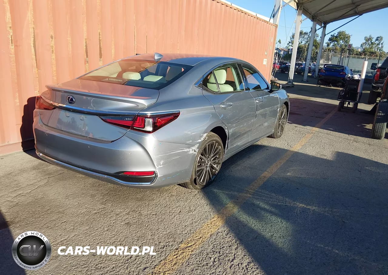2022 Lexus Es 300H VIN:58ADA1C16NU023893 - 4
