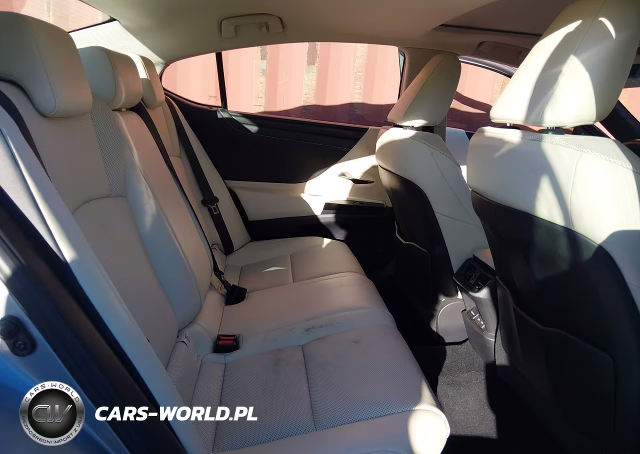 2022 Lexus Es 300H VIN:58ADA1C16NU023893 - 8