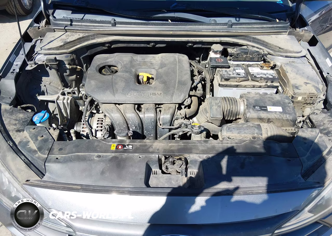 2019 Hyundai Elantra Sel VIN:KMHD84LF4KU742166 - 10