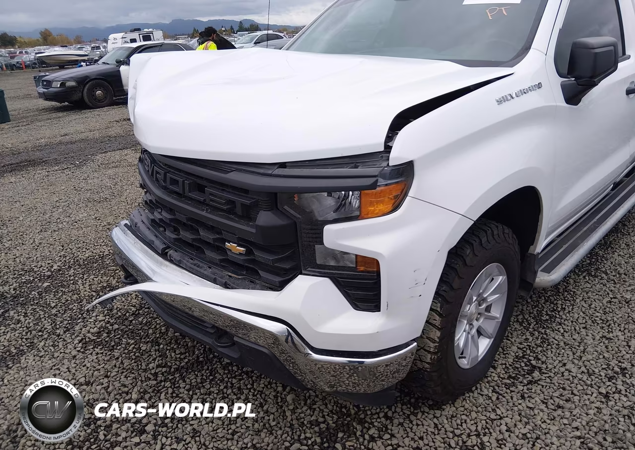 2024 Chevrolet Silverado 1500 2Wd Long Bed Wt VIN:3GCNAAED7RG282456 - 20