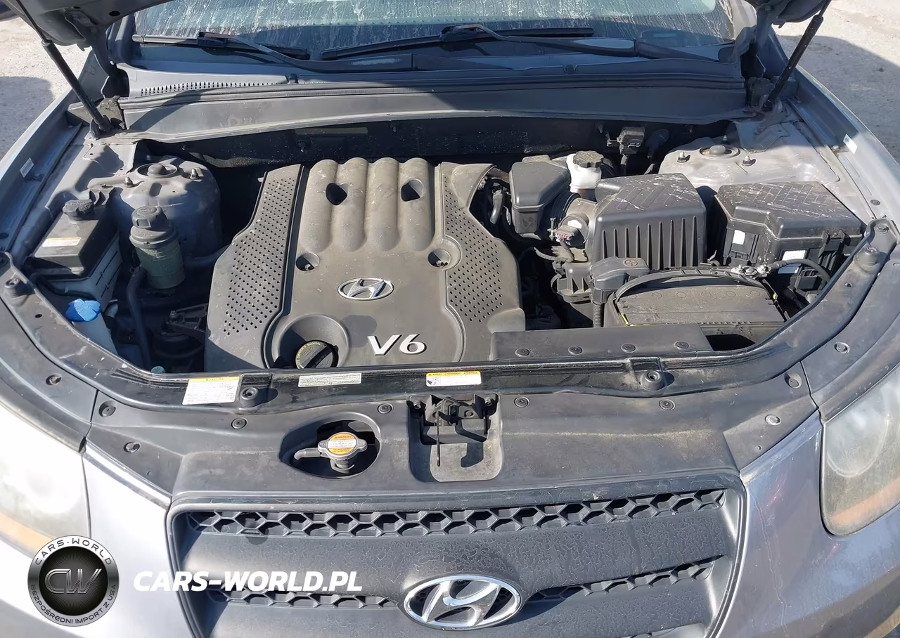 2008 Hyundai Santa Fe Gls VIN:5NMSG73DX8H142864 - 10