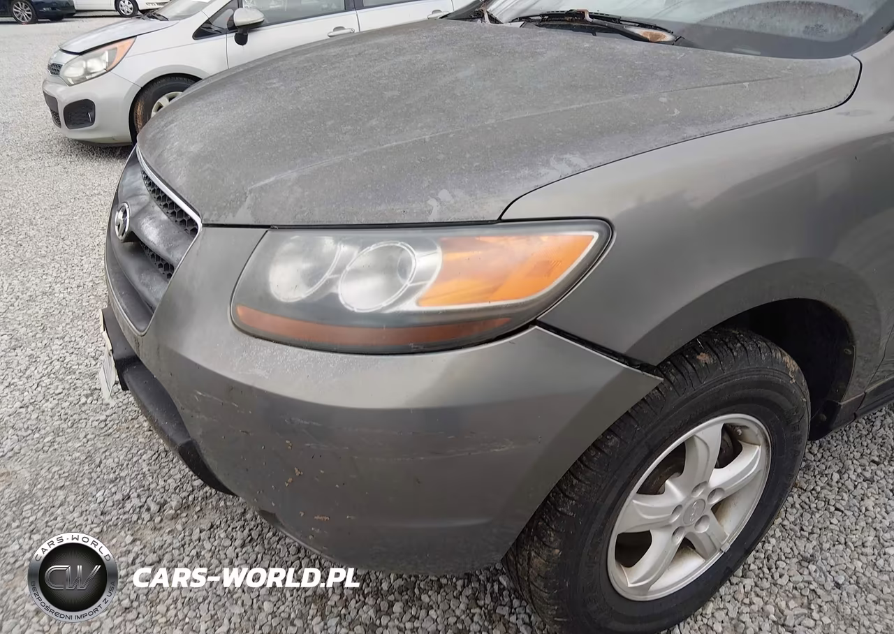 2007 Hyundai Santa Fe Gls VIN:KM8SG73D17U101672 - 6
