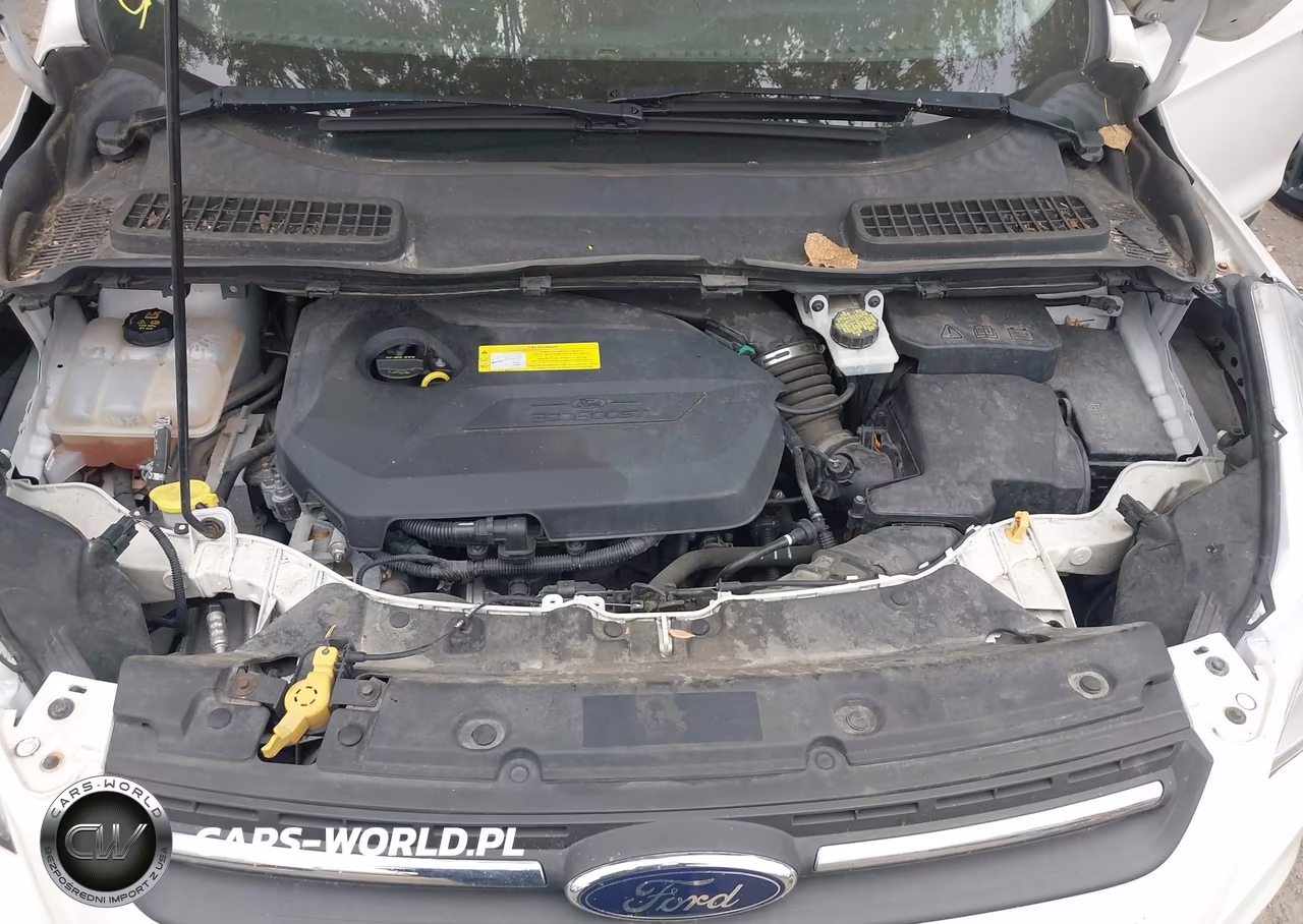 2016 Ford Escape Se VIN:1FMCU9GX2GUC11014 - 10
