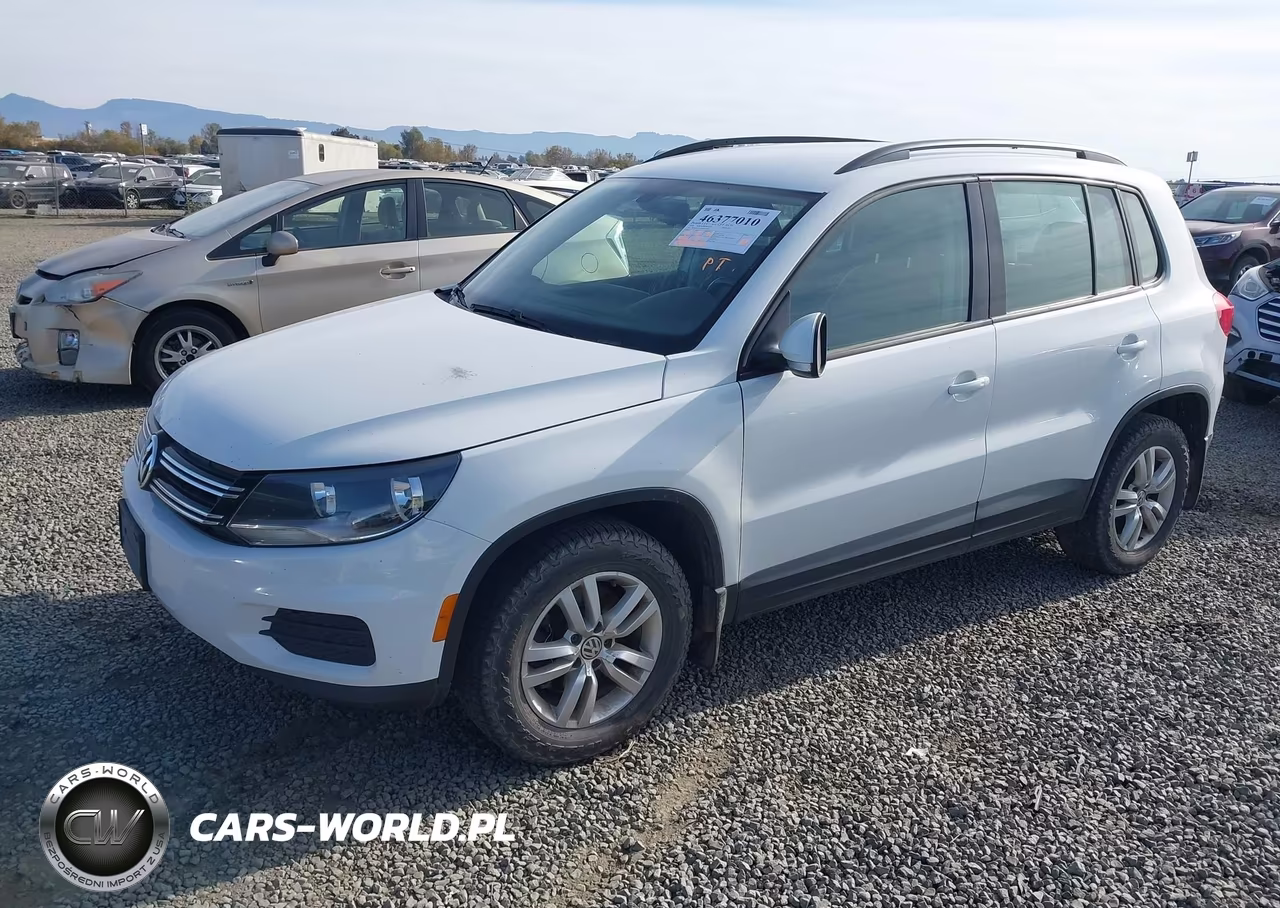 2016 Volkswagen Tiguan S VIN:WVGBV7AX9GW533644 - 2