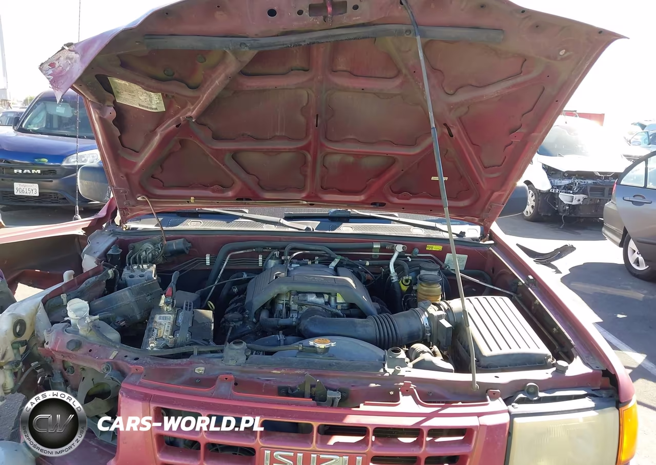 1998 Isuzu Rodeo Ls-S VIN:4S2CK58W6W4343253 - 10
