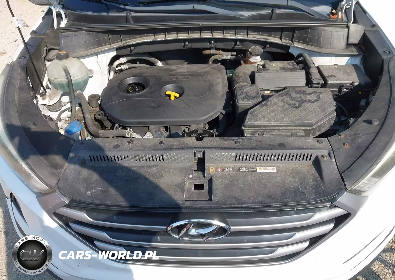 2017 Hyundai Tucson Se VIN:KM8J33A49HU434870 - 10
