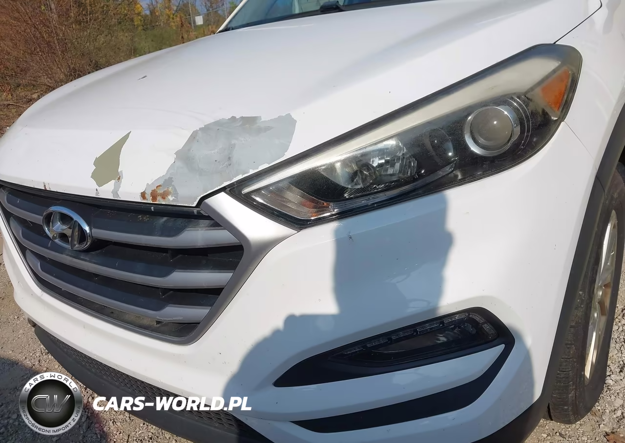2017 Hyundai Tucson Se VIN:KM8J33A49HU434870 - 6
