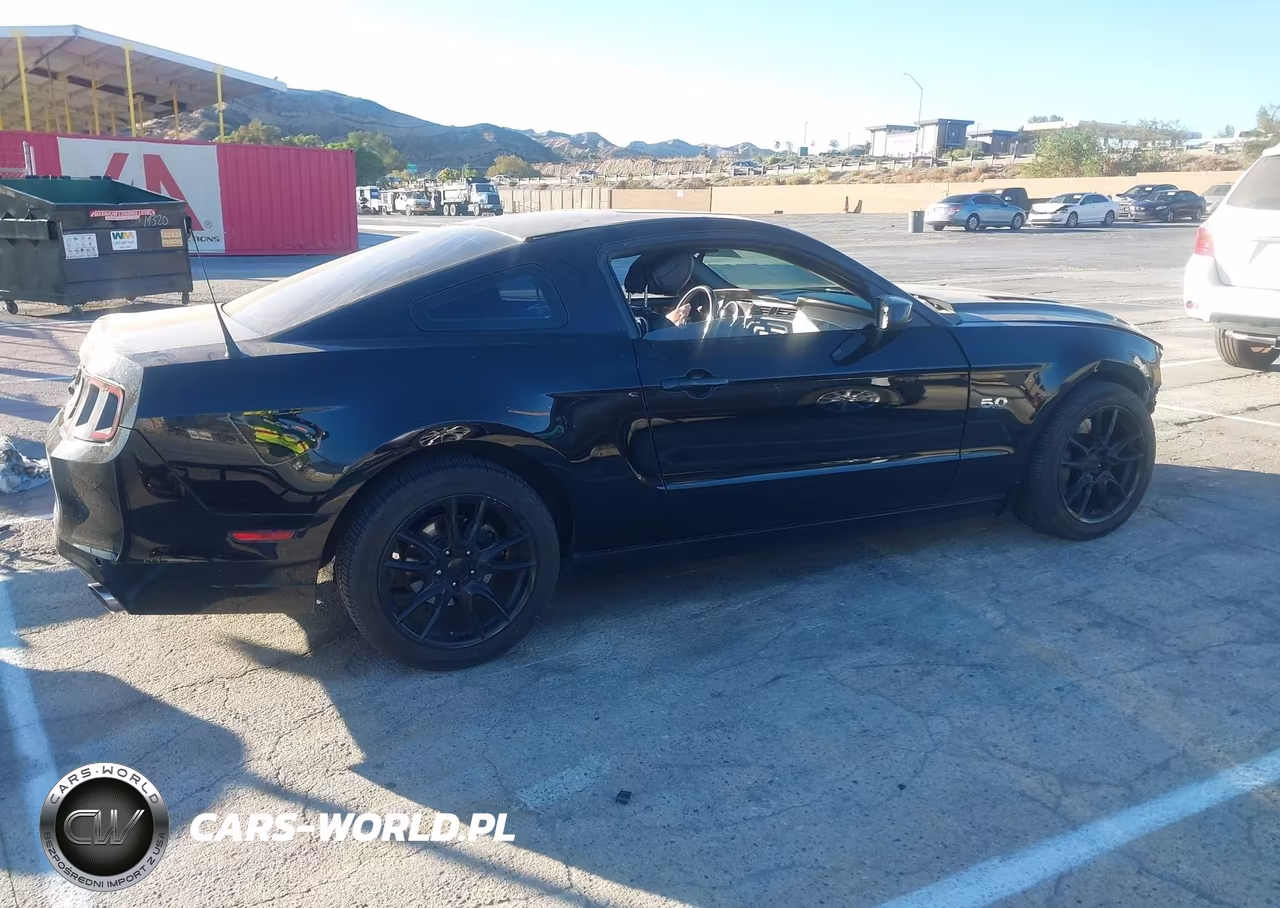 2014 Ford Mustang Gt Premium VIN:1ZVBP8CF5E5229154 - 14