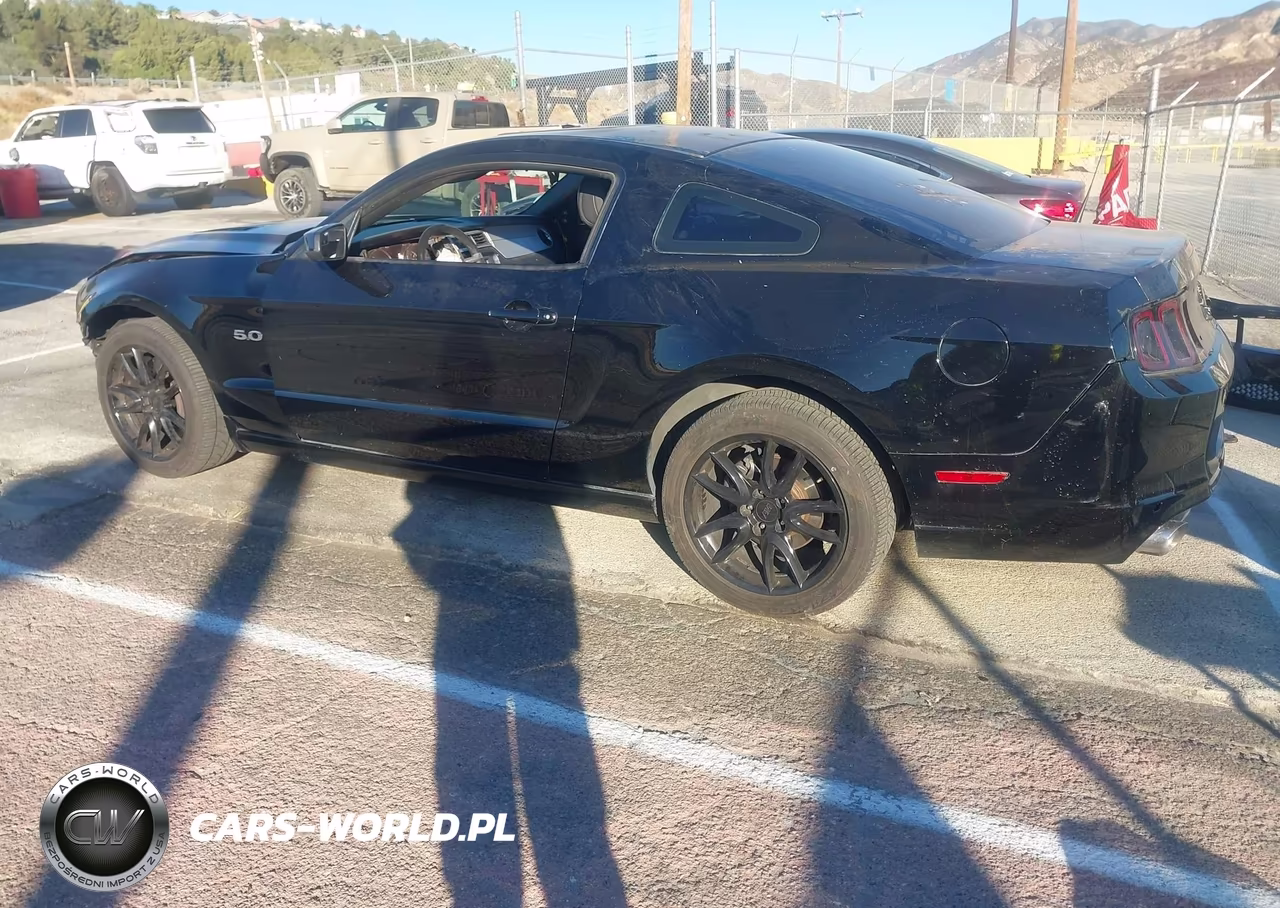 2014 Ford Mustang Gt Premium VIN:1ZVBP8CF5E5229154 - 15