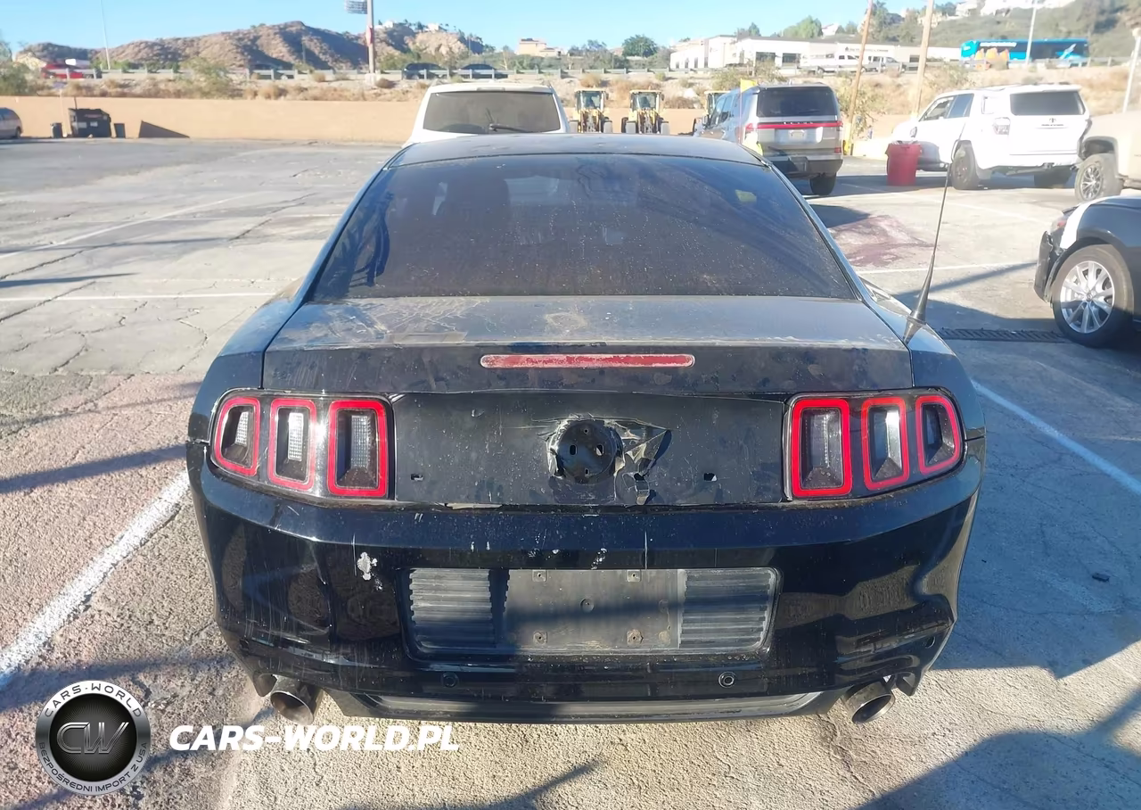 2014 Ford Mustang Gt Premium VIN:1ZVBP8CF5E5229154 - 17