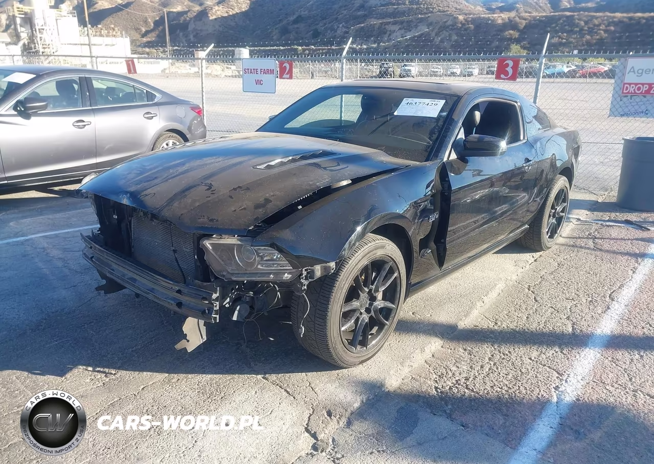2014 Ford Mustang Gt Premium VIN:1ZVBP8CF5E5229154 - 2