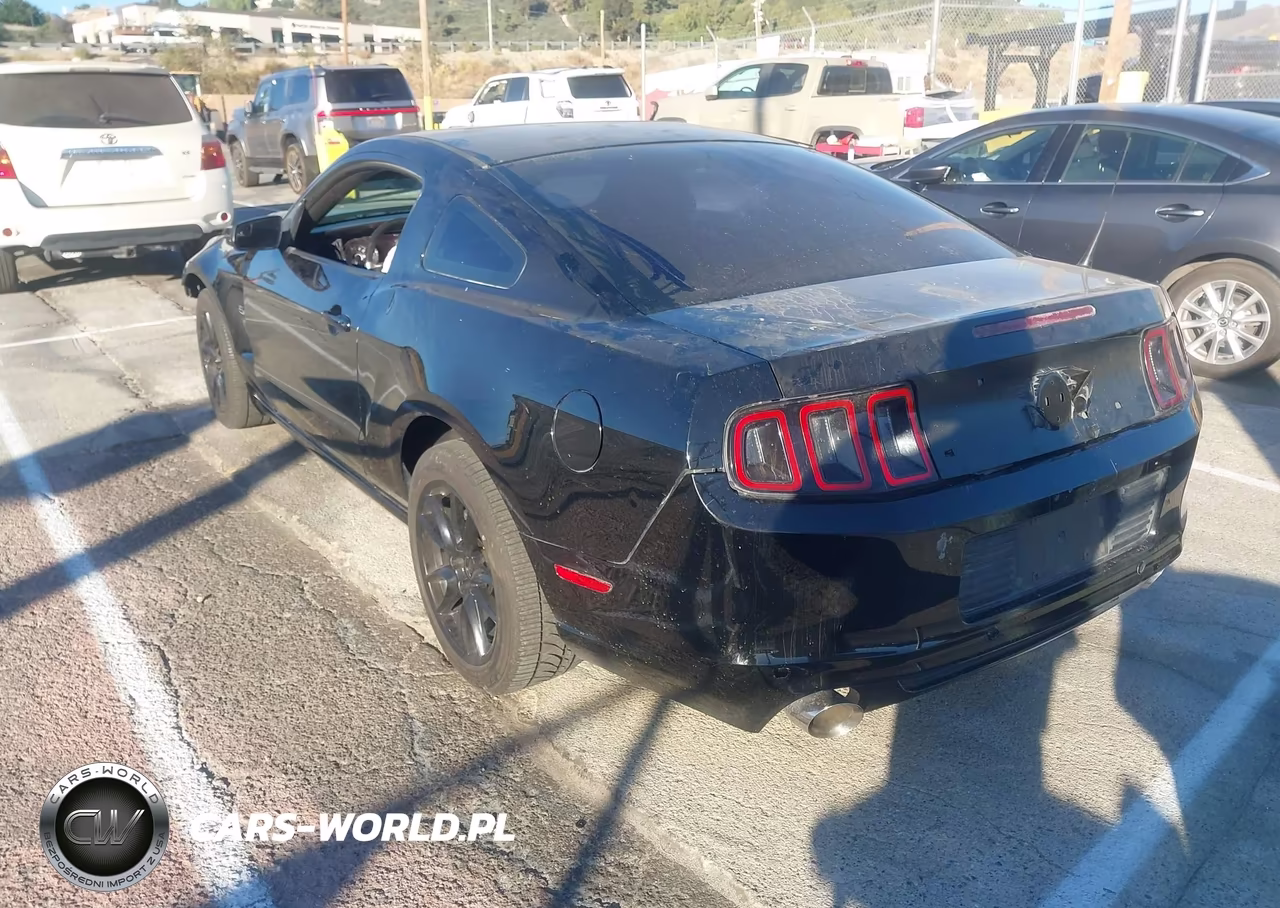 2014 Ford Mustang Gt Premium VIN:1ZVBP8CF5E5229154 - 3