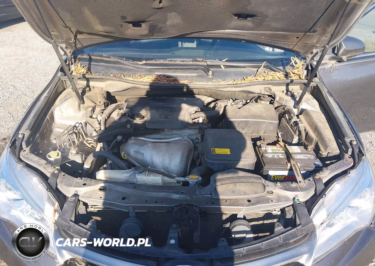 2015 Toyota Camry Se VIN:4T1BF1FK0FU011499 - 10