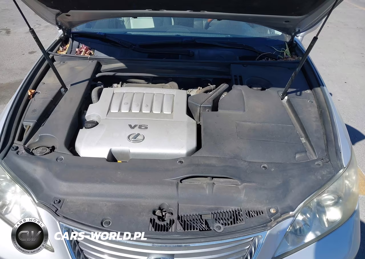 2007 Lexus Es 350 VIN:JTHBJ46G772081304 - 10