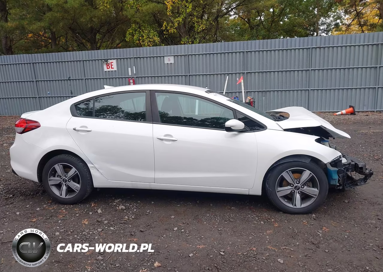 2018 Kia Forte Lx VIN:3KPFL4A76JE239243 - 13