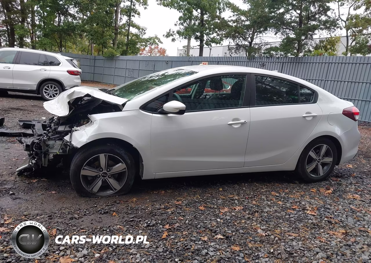 2018 Kia Forte Lx VIN:3KPFL4A76JE239243 - 14