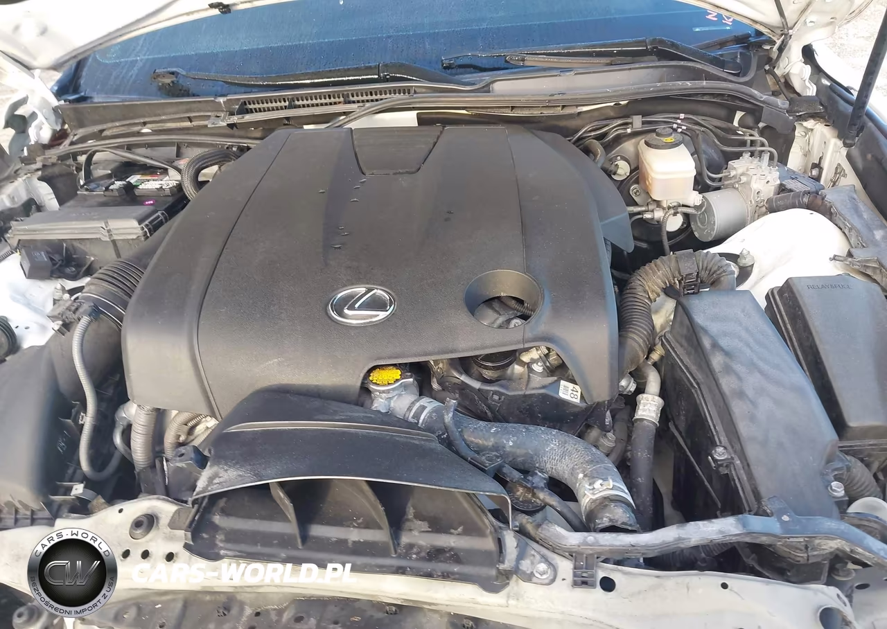 2015 Lexus Is 250 Crafted Line VIN:JTHBF1D25F5061203 - 10