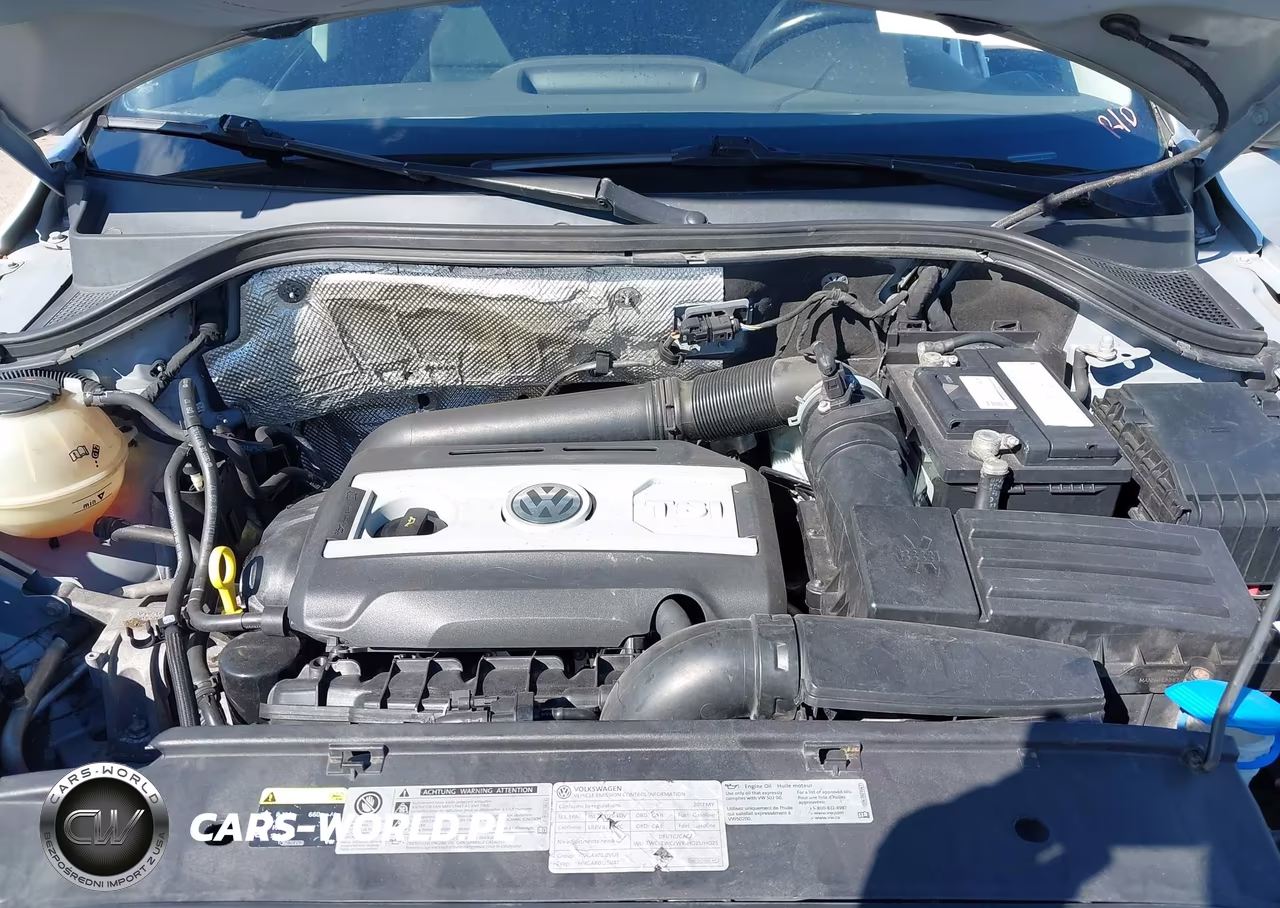2017 Volkswagen Tiguan 2.0T-2.0T S VIN:WVGAV7AX0HK040455 - 10