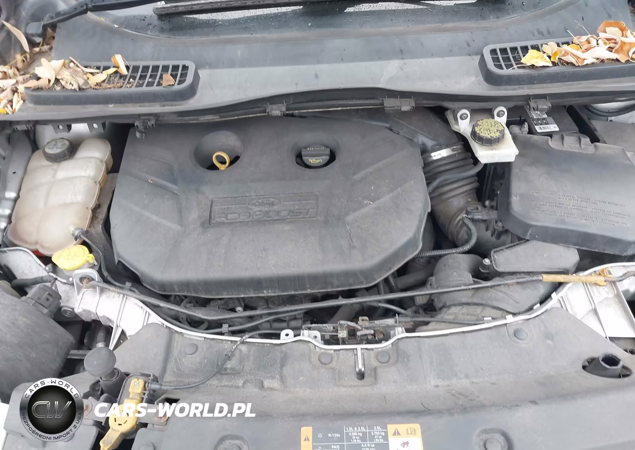2013 Ford Escape Titanium VIN:1FMCU9J98DUC07068 - 10